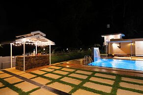 Alaya Stay Twisted Tree with Pool