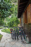 Holiday House Dilek Cirali