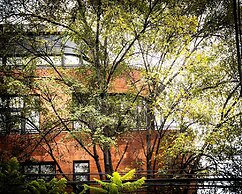 EMA Condesa