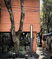 EMA Condesa