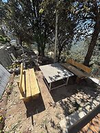 The Woodshed