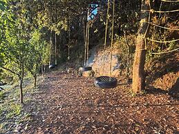 The Woodshed