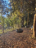 The Woodshed