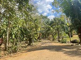 Macaw Paradise