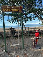 Macaw Paradise
