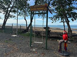 Macaw Paradise