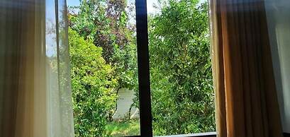 Xho's Forest Guest House