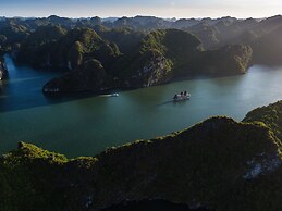 V'Spirit Cruises