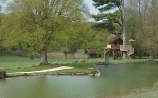 Domaine de la Roche Bellin