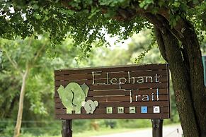 Elephant Trail