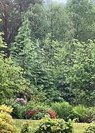 Braeburn Guest House / B&B