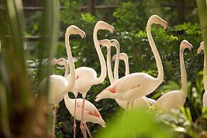 Tropical Islands