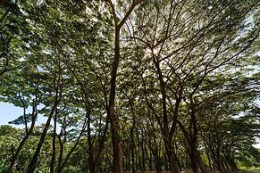 Chatrium Golf Resort Soi Dao Chanthaburi