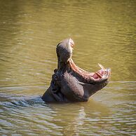 Maramba River Lodge