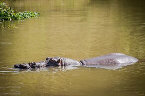 Maramba River Lodge