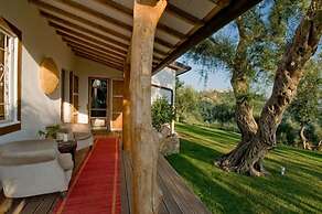 Villa Oliveta