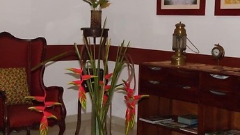 Hotel Zandu