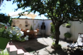 La Olmedana