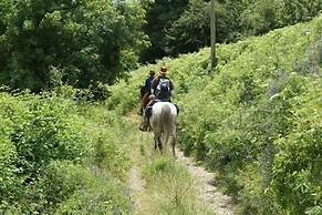 Fattoria i Ciliegi