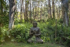 Buddha's Bungalow