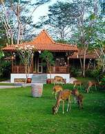 Plataran Menjangan Resort and Spa