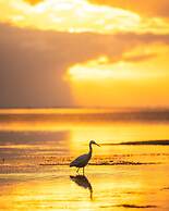 Hakuna Majiwe Beach Lodge