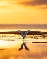 Hakuna Majiwe Beach Lodge
