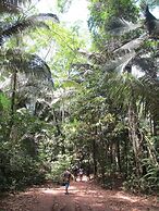 Amazon Lodge Tambopata