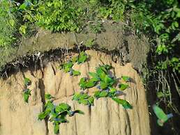 Amazon Lodge Tambopata