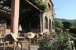 Chez Momo II