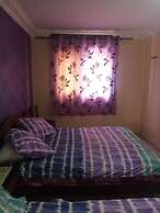 Hotel Aswan