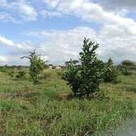 AA Lodge Amboseli
