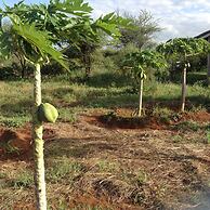 AA Lodge Amboseli