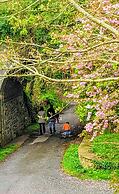 Ivybridge Guest House
