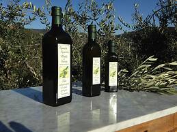 Agriturismo Monte a Pescia