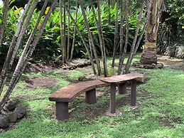 Taveuni Dive Resort