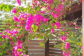 Aruba Lagunita