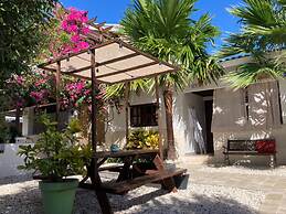 Aruba Lagunita