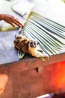 Urraca Monkey Island Eco Resort
