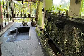 The Mahogany Villa