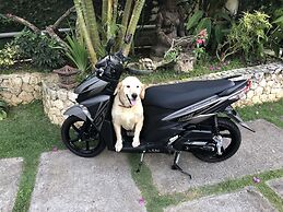 Villa Anjing