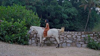 Alila Solo, Java