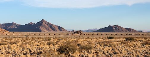 Desert Quiver Camp