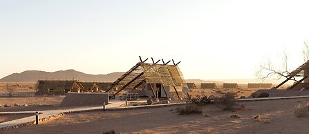 Desert Quiver Camp