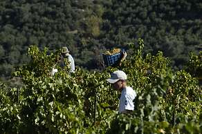 Enagron Cretan Ecotourism Village