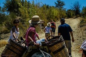 Enagron Cretan Ecotourism Village