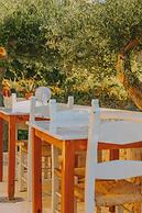 Creta Vitalis