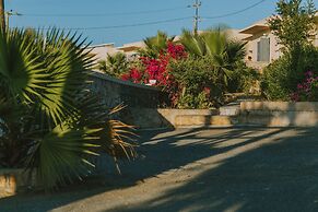 Creta Vitalis