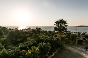 Creta Vitalis