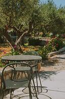 Creta Vitalis